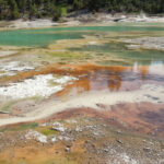 The colors were incredible.