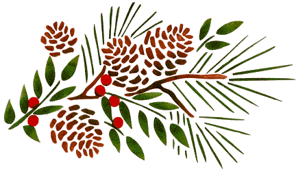 Pine froms with holly-right