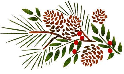 Pine froms with hollyleft