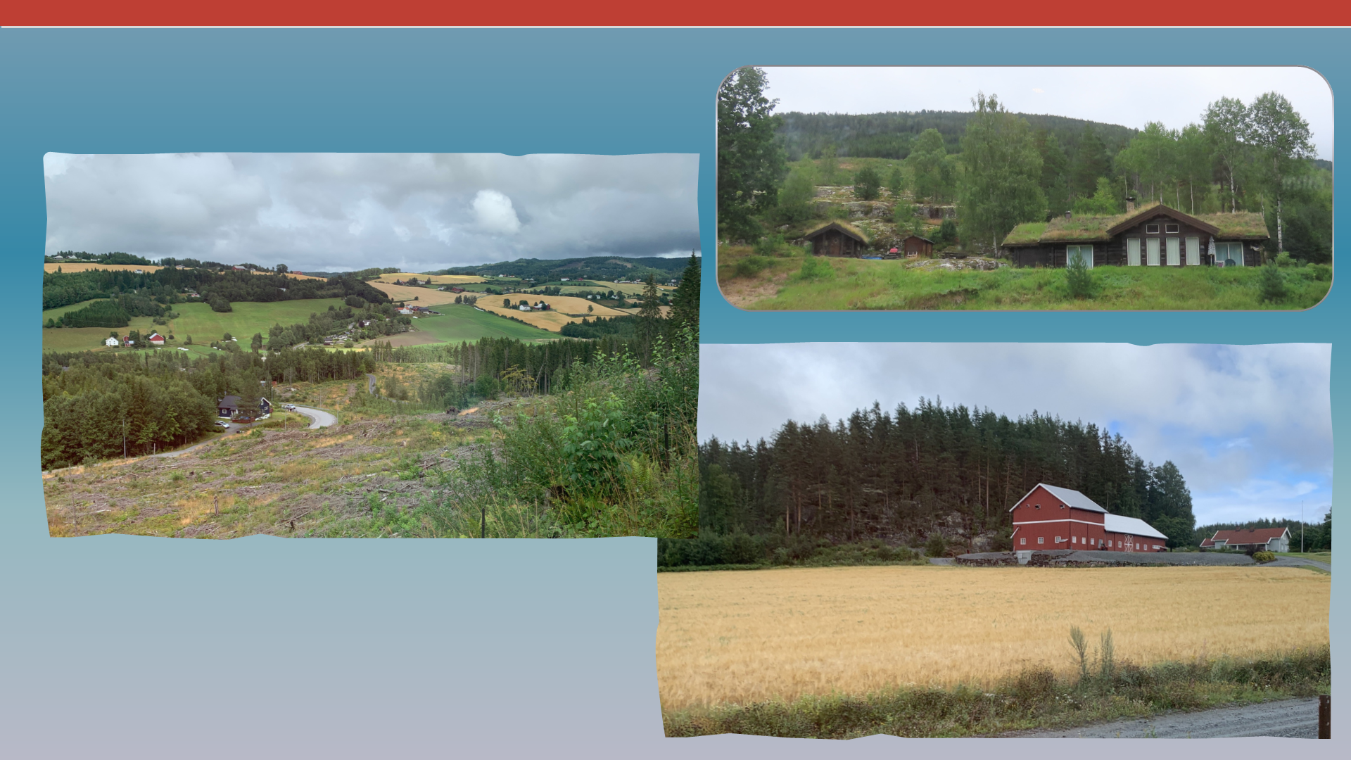 Slide89